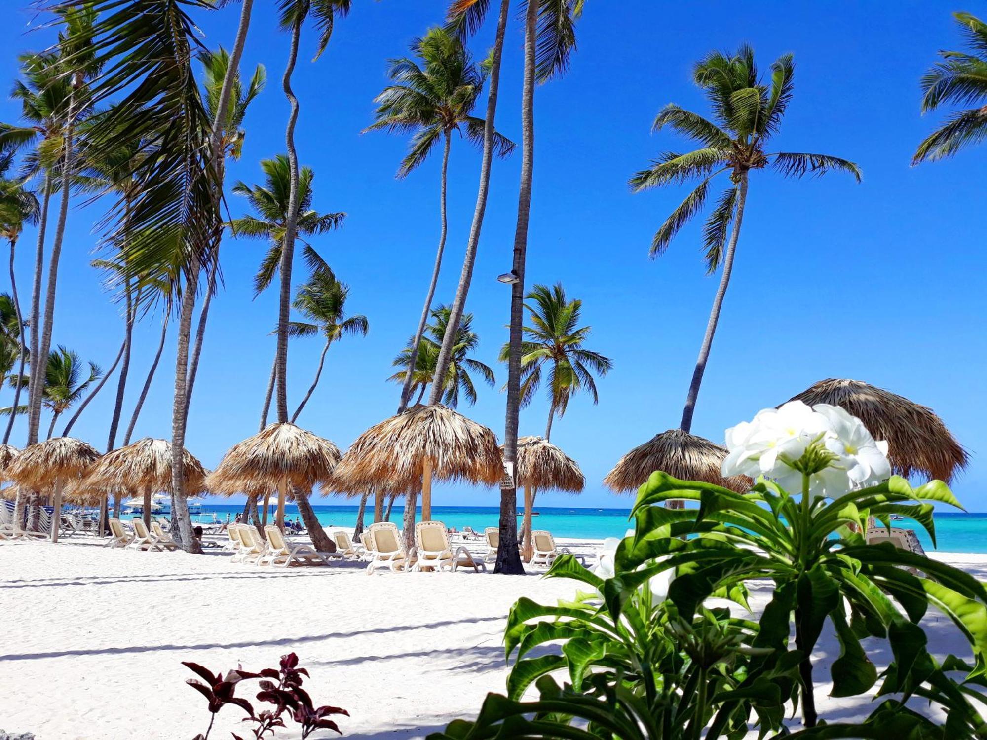 La Flor Del Caribe Beach & Spa Punta Cana Rom bilde